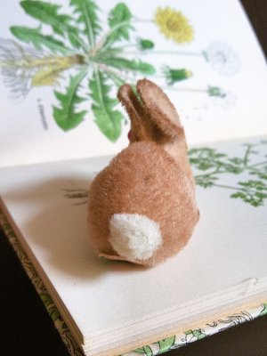 画像2: 赤い眼をした子うさぎ　ドイツ　Wagner　Kunstlerschutz