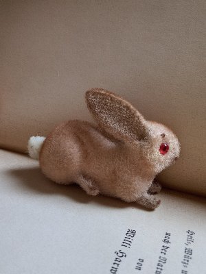 画像4: 赤い眼をした子うさぎ　ドイツ　Wagner　Kunstlerschutz