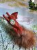 画像5: 森の動物　イタチ　ワグナー　WAGNER　kunstlerschutz (5)