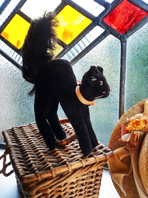 画像3: 目が点のベルベットの黒猫　トムキャット 　最小サイズ　シュタイフ　