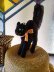 画像2: 目が点のベルベットの黒猫　トムキャット 　最小サイズ　シュタイフ　 (2)