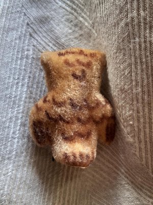 画像3: 森の動物　ふくろう　ワグナー社　WAGNER　kunstlerschutz