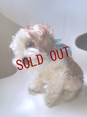 画像2: 仔犬のMOLLY　シュタイフドッグ　１５ｃｍ　ヴィンテージ