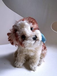 仔犬のMOLLY　シュタイフドッグ　１５ｃｍ　ヴィンテージ