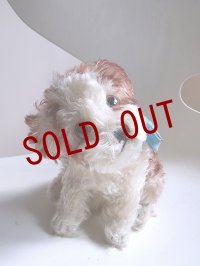 仔犬のMOLLY　シュタイフドッグ　１５ｃｍ　ヴィンテージ