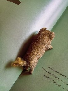 他の写真1: 森の動物　緑の眼をしたイノシシ　WAGNER　MAX CARL　Künstlerschutz