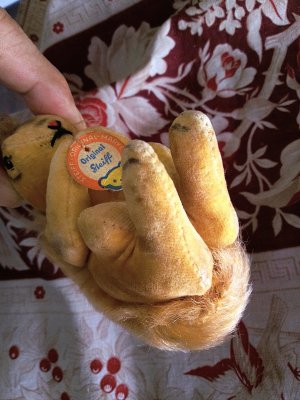 画像5: 冬じたくに忙しいリス　ベルベット　９ｃｍ　シュタイフ　５０年代　