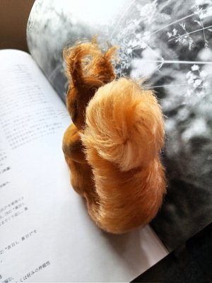 画像2: 冬じたくに忙しいリス　ベルベット　９ｃｍ　シュタイフ　５０年代　