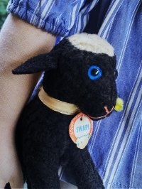 きっとあの子のお友達  1.青い瞳の黒羊 シュタイフ  SWAPL ALL ID's