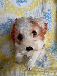 仔犬のMOLLY　シュタイフドッグ　１５ｃｍ　ヴィンテージ