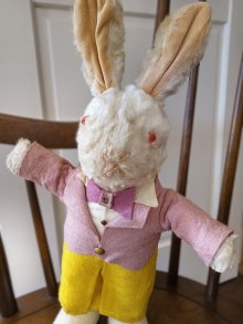 他の写真1: 白うさぎ　アリスの国　パンツスタイルのラビット　