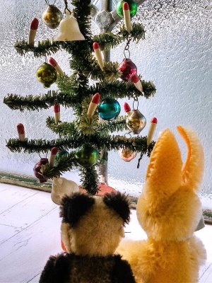 画像5: ドールサイズのクリスマスツリー　ドイツ　アンティークのもみの木　１．