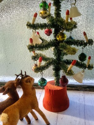 画像3: ドールサイズのクリスマスツリー　ドイツ　アンティークのもみの木　１．