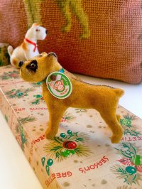 ガラス目のボクサー　犬　トイアニマル　Kunstlerschutz 　MAX CARL