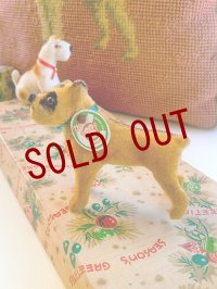 ガラス目のボクサー　犬　トイアニマル　Kunstlerschutz 　MAX CARL