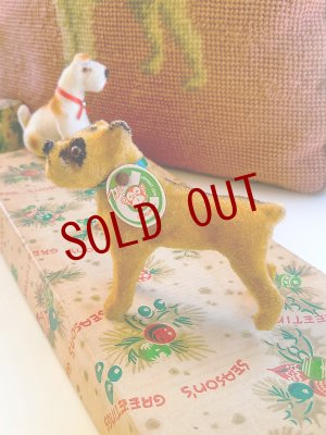 画像1: ガラス目のボクサー　犬　トイアニマル　Kunstlerschutz 　MAX CARL