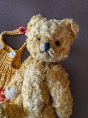 画像4: はちみつ色のこぐま　ヴィンテージ　ポーリッシュベア　５０年代