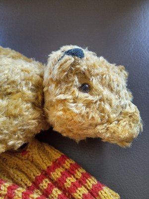 画像3: はちみつ色のこぐま　ヴィンテージ　ポーリッシュベア　５０年代