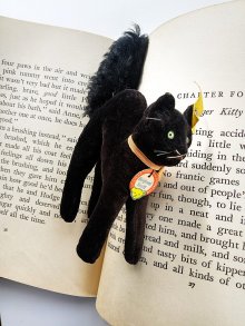 他の写真3: 目が点になってるベルベット猫　トムキャット　シュタイフ　ALL ID’ｓ　黒猫