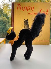 目が点になってるベルベット猫　トムキャット　シュタイフ　ALL ID’ｓ　黒猫