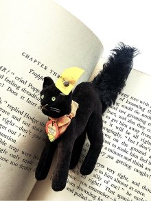 他の写真2: 目が点になってるベルベット猫　トムキャット　シュタイフ　ALL ID’ｓ　黒猫