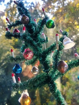 画像5: アンティークのもみの木　ドールサイズのクリスマスツリー　ドイツ　A