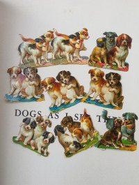 ヴィクトリアン　仔犬のクロモス　９枚セット　