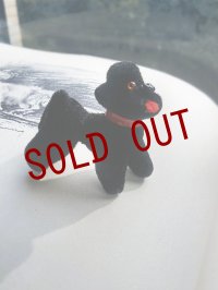 ベストフレンド！　ブラックプードルの仔犬　きっとあの子のお友達　WAGNER　