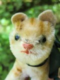 おちびなこねこさん　シュタイフ