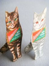 ヴィクトリアンキャット　 販促用カード