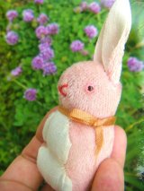さくら色のうさぎ