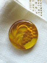 揺れる穂　美しい琥珀色のボタン