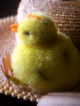 ドイツ　シュタイフ社　ポンポンひよこ　