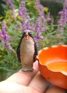 他の写真1: ペンギンのついたアンティークミニトレイ