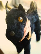ブラッキー　テリア犬