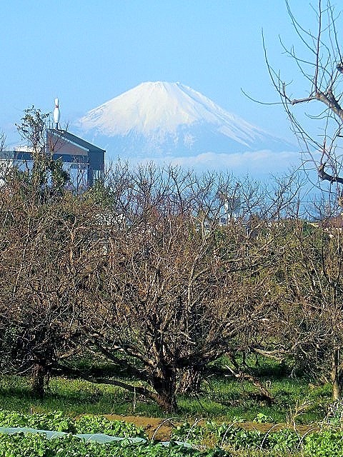   富士山はボーリングがお好き  
