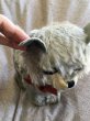 画像8: チルターンキャット　灰色猫　グレーモヘア　英国　Chiltern (8)