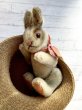 画像5: ★ファイブジョイントの仔ウサギ  　 NIKI   RABBIT  ラビット シュタイフ  うさぎ    １５cm (5)