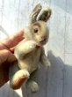 画像8: ★ファイブジョイントの仔ウサギ  　 NIKI   RABBIT  ラビット シュタイフ  うさぎ    １５cm (8)