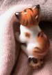 画像2: 茶トラ猫さん　ORANGE TABBY  CAT   ミニチュア フィギア     　ロイヤルドルトン　 (2)