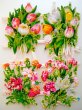 画像1: 春はチューリップ！　花のクロモス 　カーネーション　花束 (1)