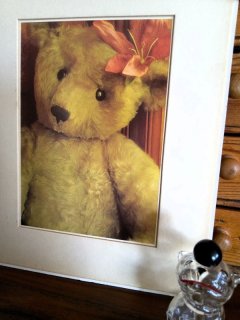 ポストカード 紙のもの - SNAP