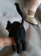 画像4: ガラス目の黒猫さん　アンティークキャット　赤いリボン結んだくろねこ　　 (4)