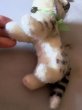 画像4: しまねこ　タビー　シュタイフ　キャット　ビンテージ　１２ｃｍ (4)