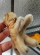 画像3: おちびな子猫さん　シュタイフ　ヴィンテージ　イヤーボタン (3)