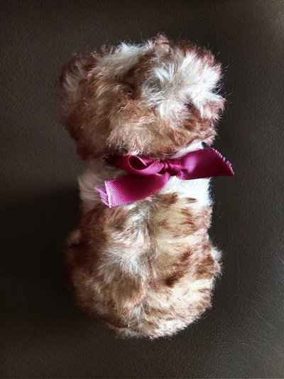 画像1: 仔犬のMOLLY　シュタイフドッグ　１５ｃｍ　ヴィンテージ