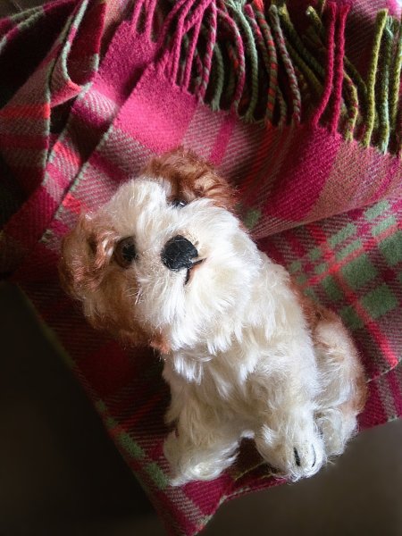 画像1: 仔犬のMOLLY　シュタイフドッグ　１５ｃｍ　ヴィンテージ (1)