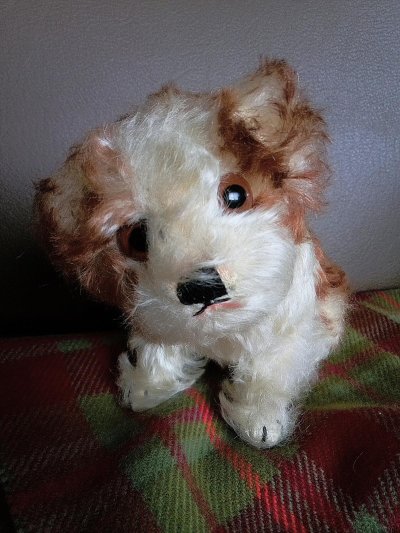 画像3: 仔犬のMOLLY　シュタイフドッグ　１５ｃｍ　ヴィンテージ