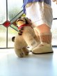 画像10: 仔犬のブリー　１０，５ｃｍ　シュタイフ　ブルドッグ　 (10)