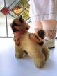 画像8: 仔犬のブリー　１０，５ｃｍ　シュタイフ　ブルドッグ　 (8)